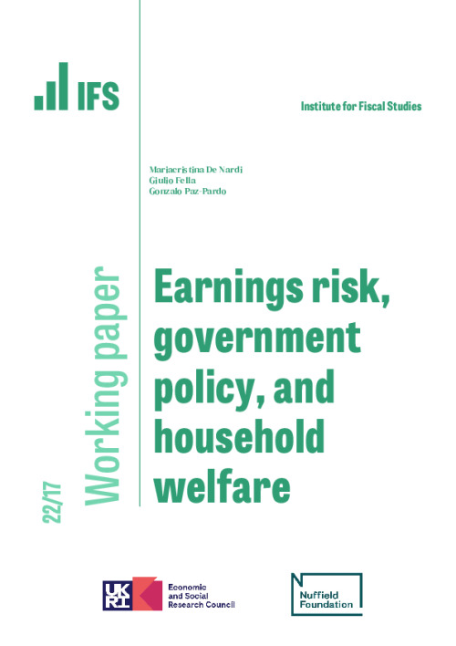 Image representing the file: Earnings risk, government policy, and household welfare