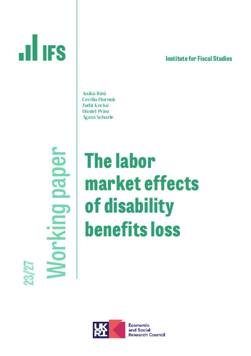 Image representing the file: WP202327-The-labor-market-effects-of-disability-benefit-loss.pdf