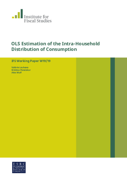 Image representing the file: WP201919-OLS-Estimation-of-the-Intra-Household-Distribution-of-Consumption.pdf