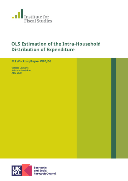 Image representing the file: WP202006-OLS-estimation-of-the-intra-household-distribution-of-expenditure.pdf